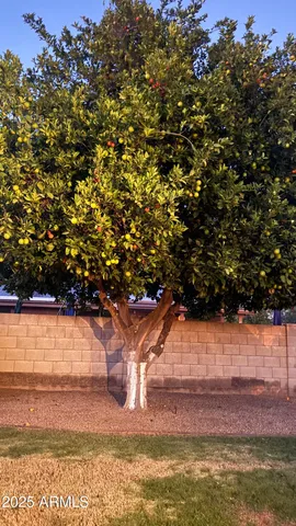 a view of a yard with an outdoor space