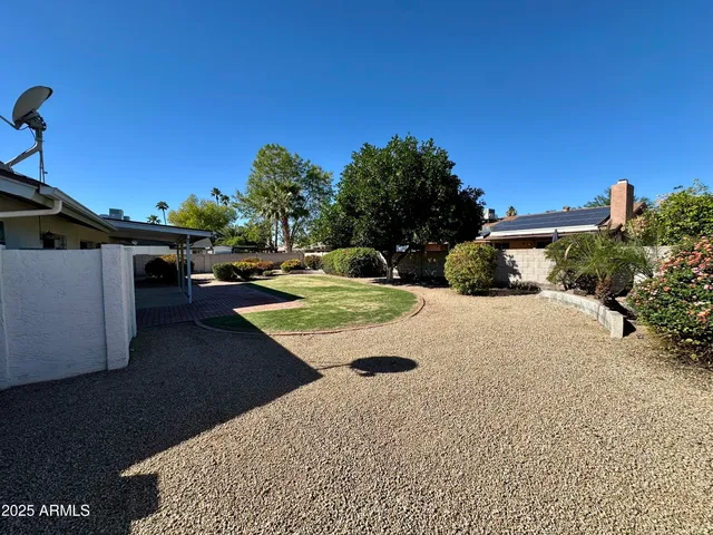 a view of a backyard