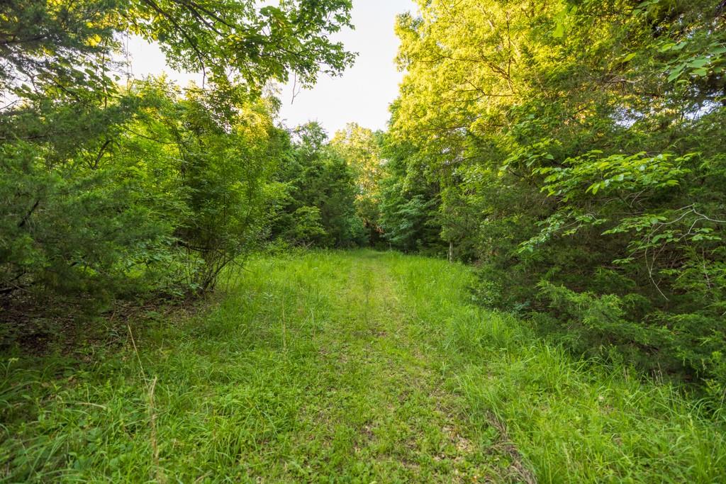 521 Southwest 301st Road Warrensburg, MO 64093 - Photo 54 of 80