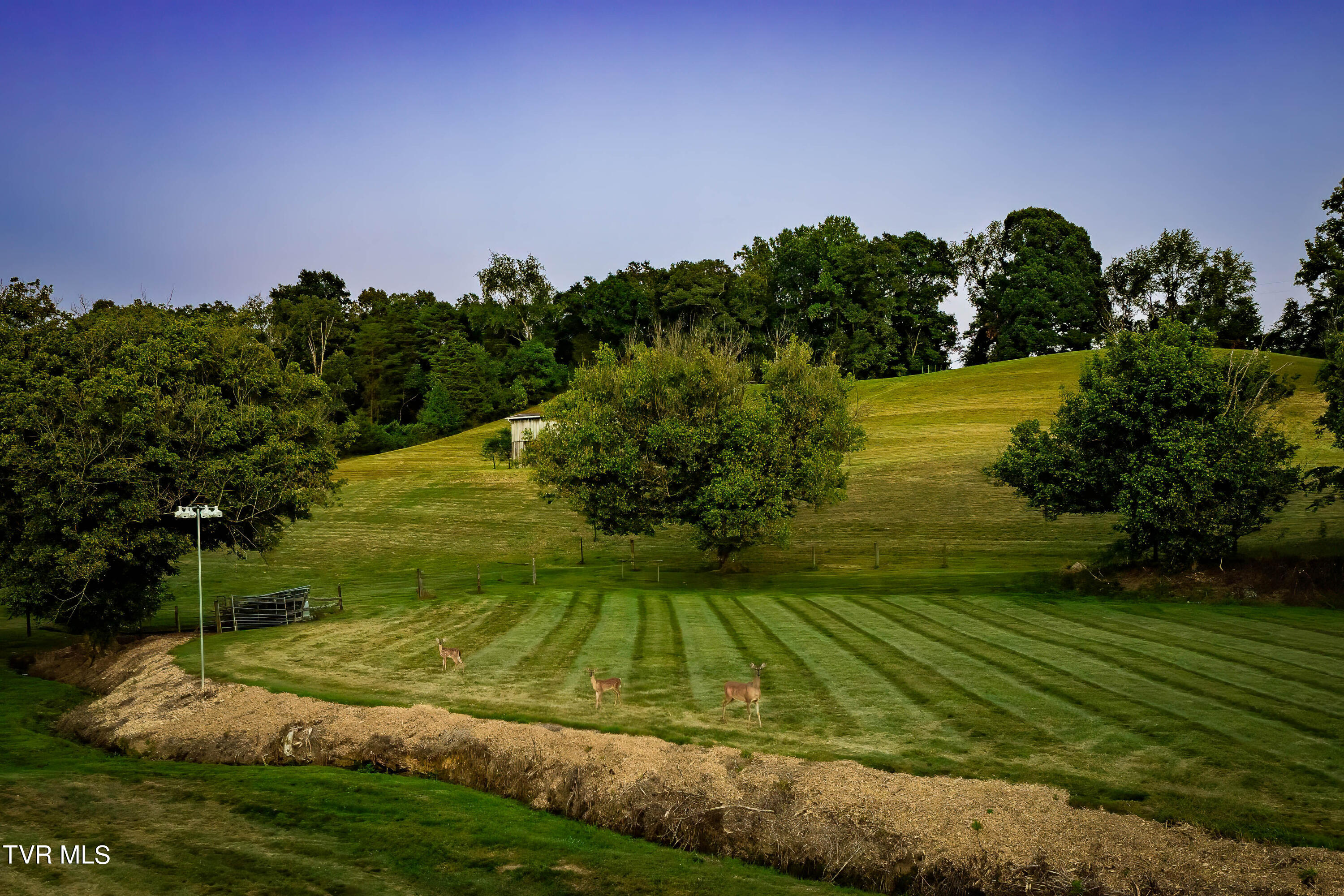 342 Glendale Road Limestone, TN 37681 - Photo 6 of 112 342 Glendale Rd (13 of 180)