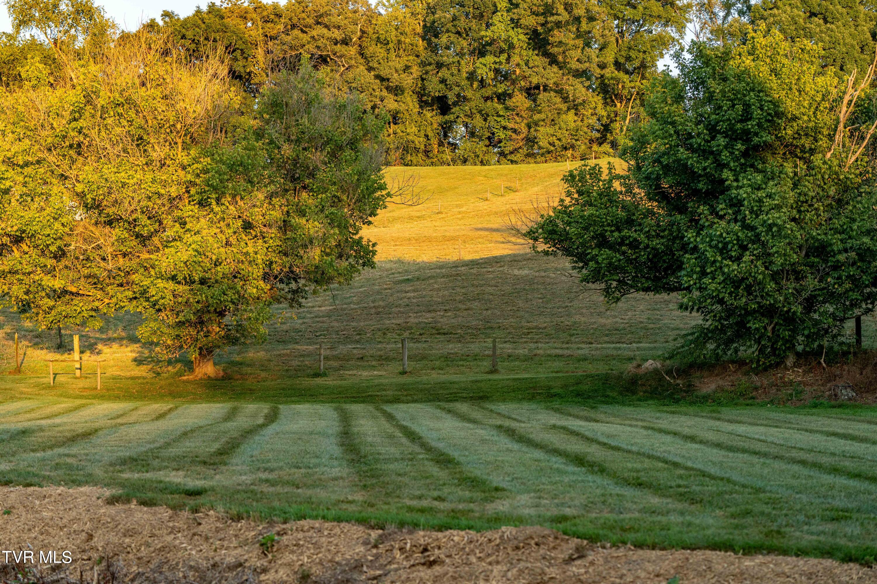 342 Glendale Road Limestone, TN 37681 - Photo 75 of 112 342 Glendale Rd (125 of 180)