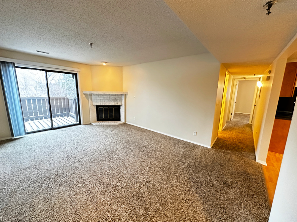 1350 Brook Street, Unit K St. Charles, IL 60174 - Photo 5 of 12 an empty room with windows and fireplace