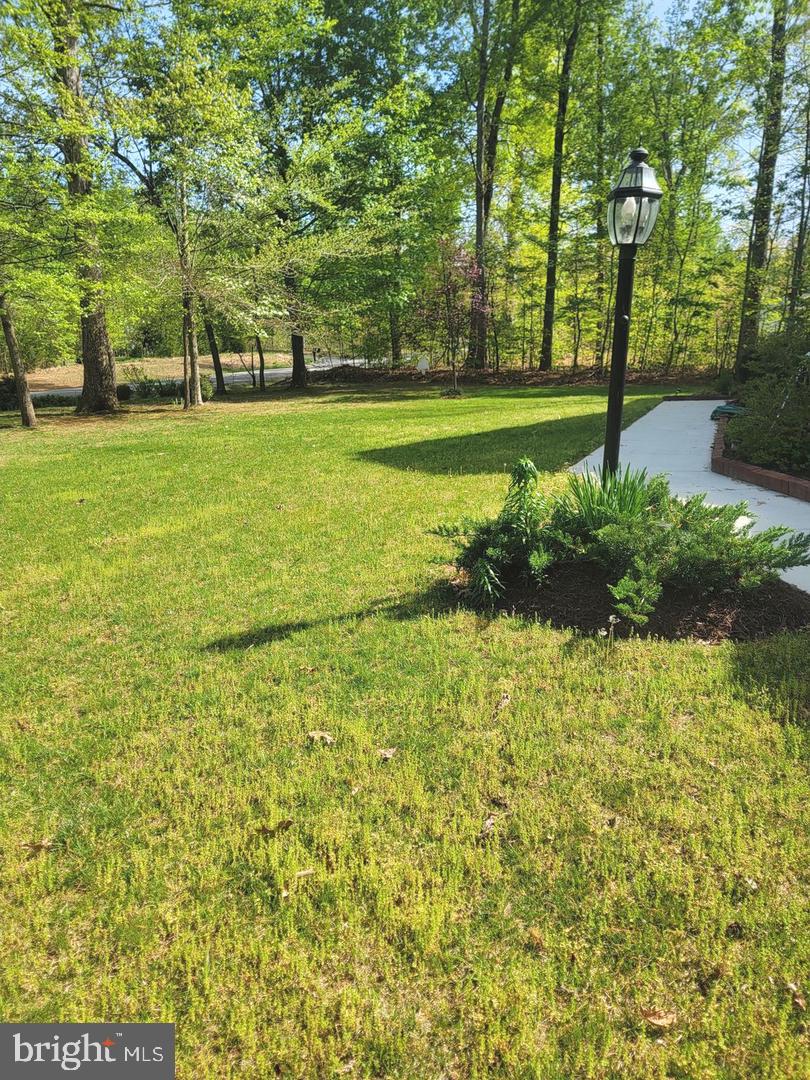 440 Reedy Creek Road Louisa, VA 23093 - Photo 21 of 24 Gallery Image 21