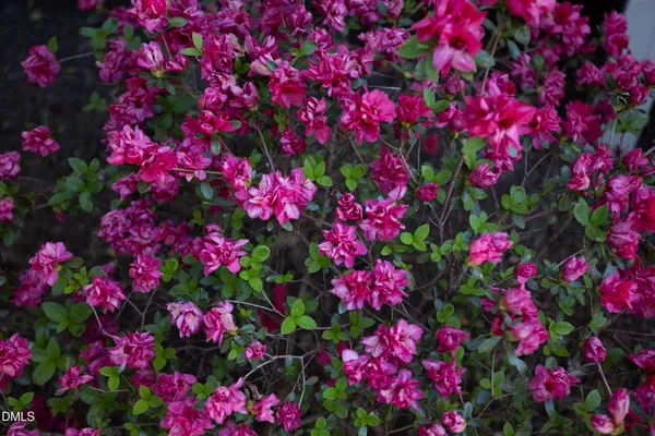 $339,000 | 1317 Hill Street, Durham, NC 27707