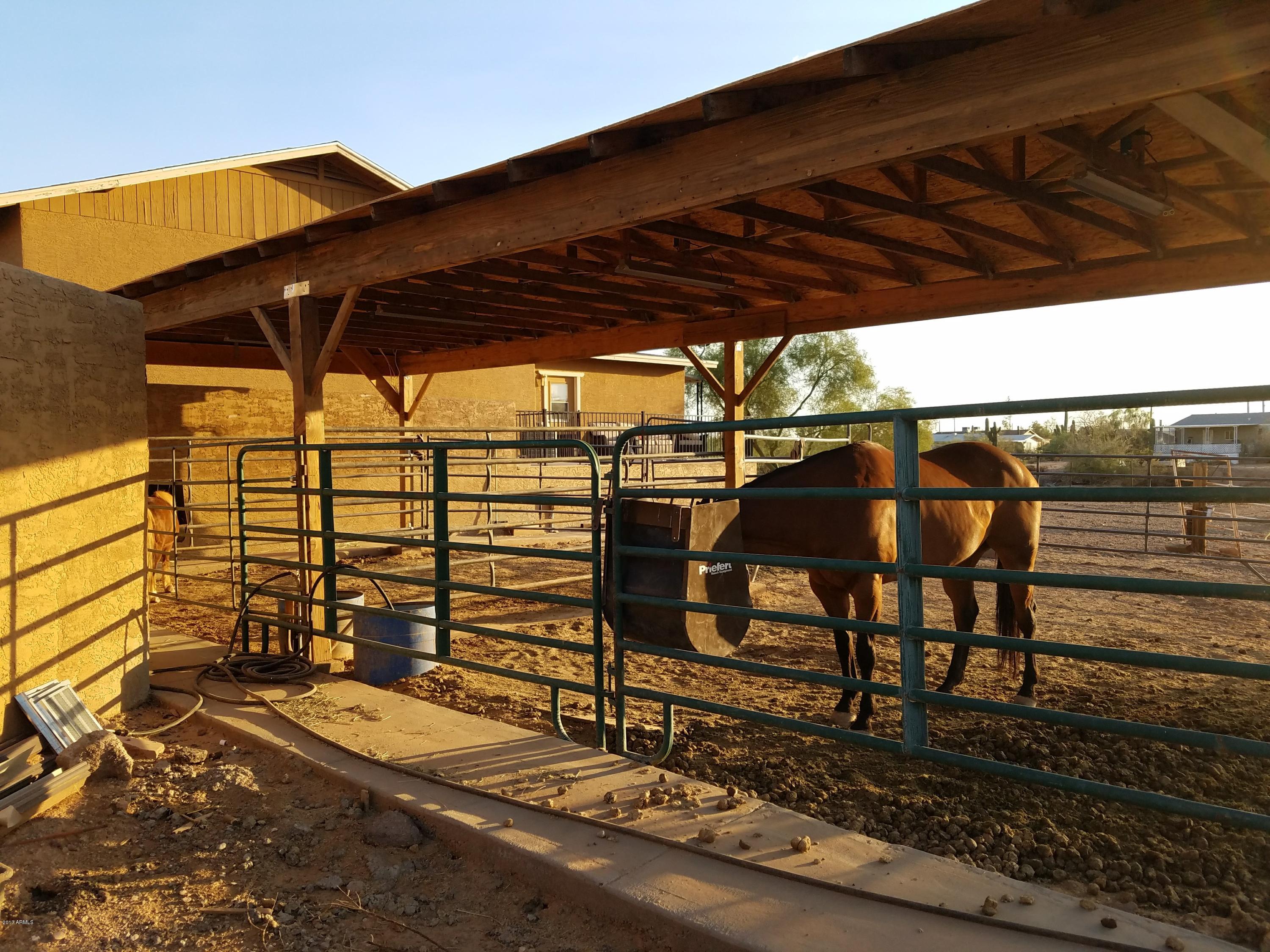 242 North Conestoga Road Apache Junction, AZ 85119 - Photo 36 of 38 1 (35)