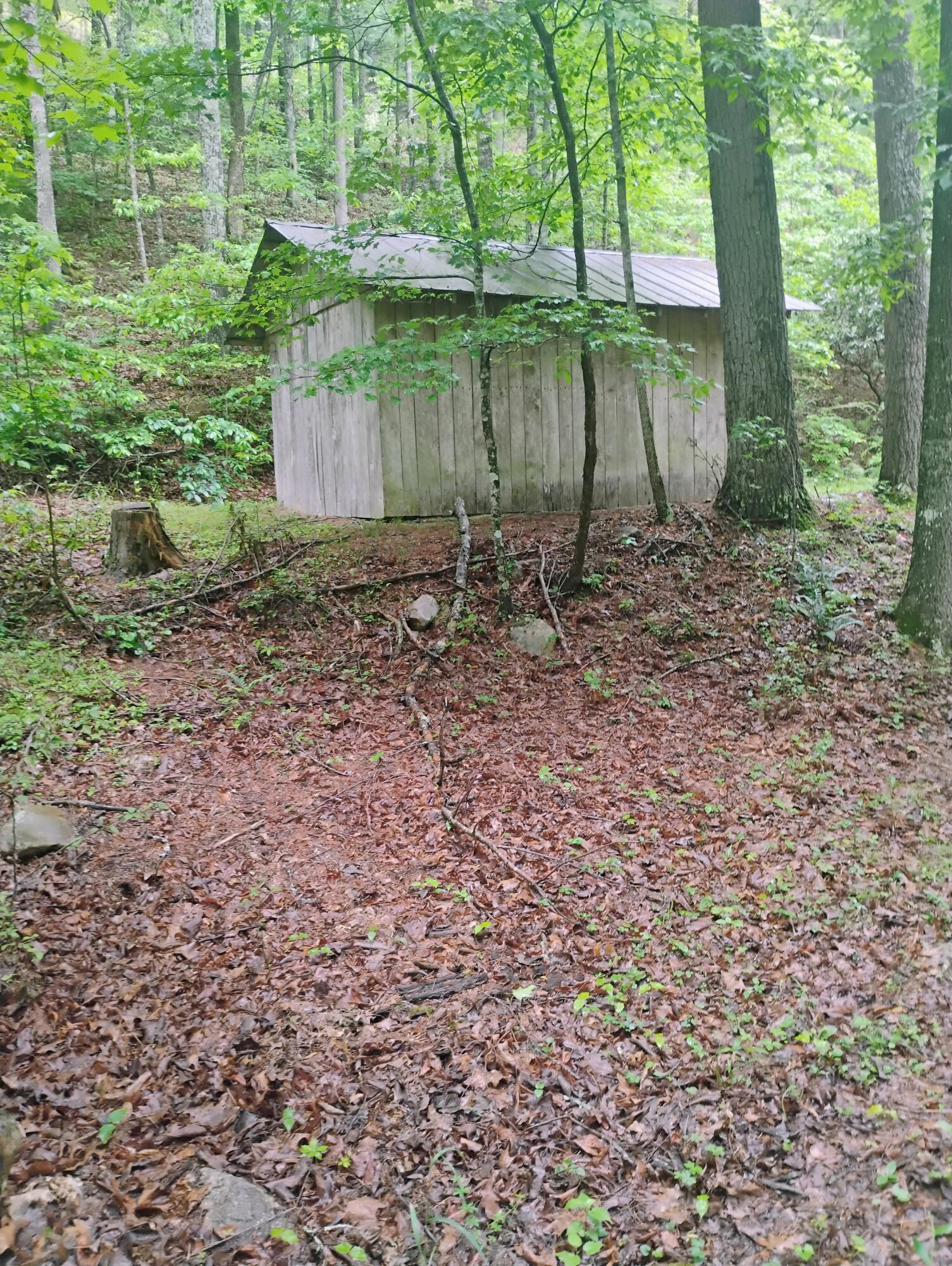 425 Miller Cove Road Catawba, VA 24070 - Photo 4 of 19 1000000409