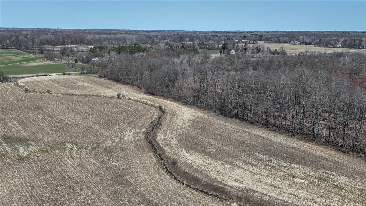 V/l Busch Road Birch Run, MI 48415 - Photo 10 of 20