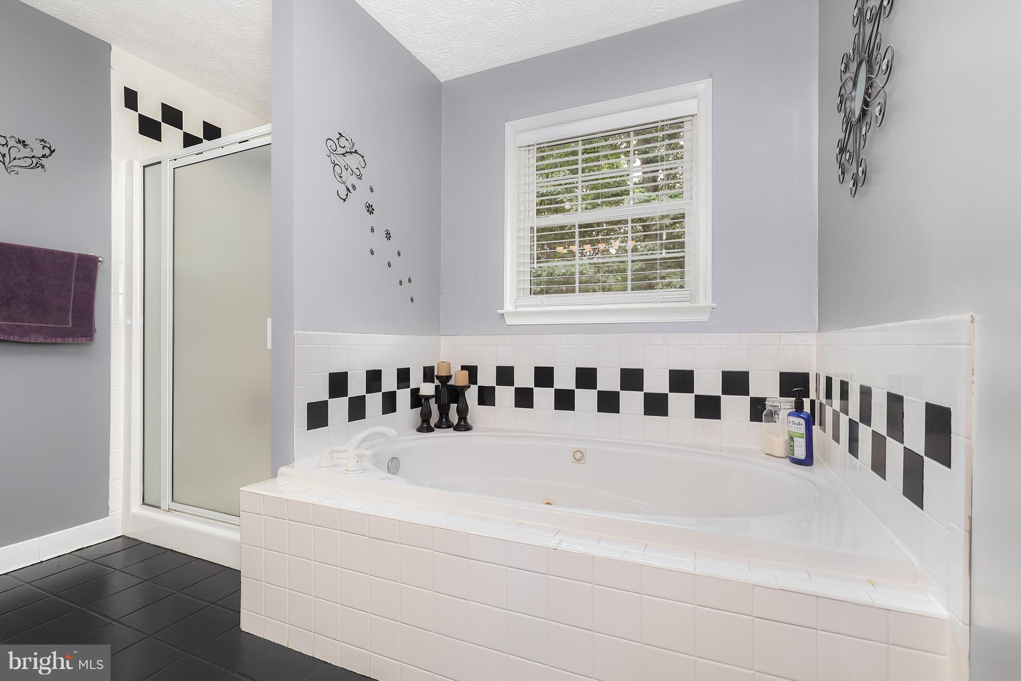 630 Carson Road Huntingtown, MD 20639 - Photo 20 of 30 Bath (Master)