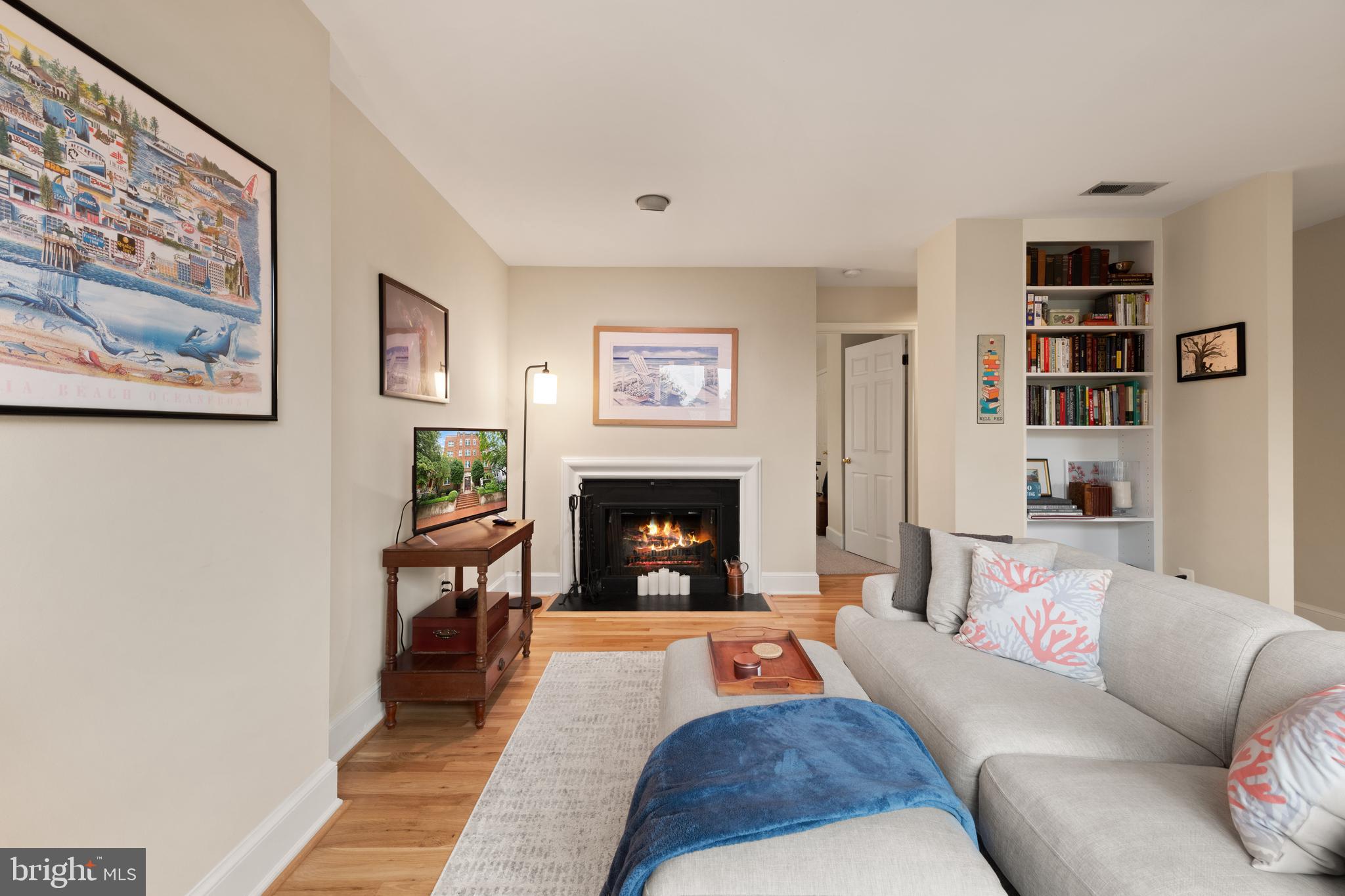 317 10th Street Northeast, Unit 13 Washington, DC 20002 - Photo 7 of 29 a living room with furniture and a fireplace