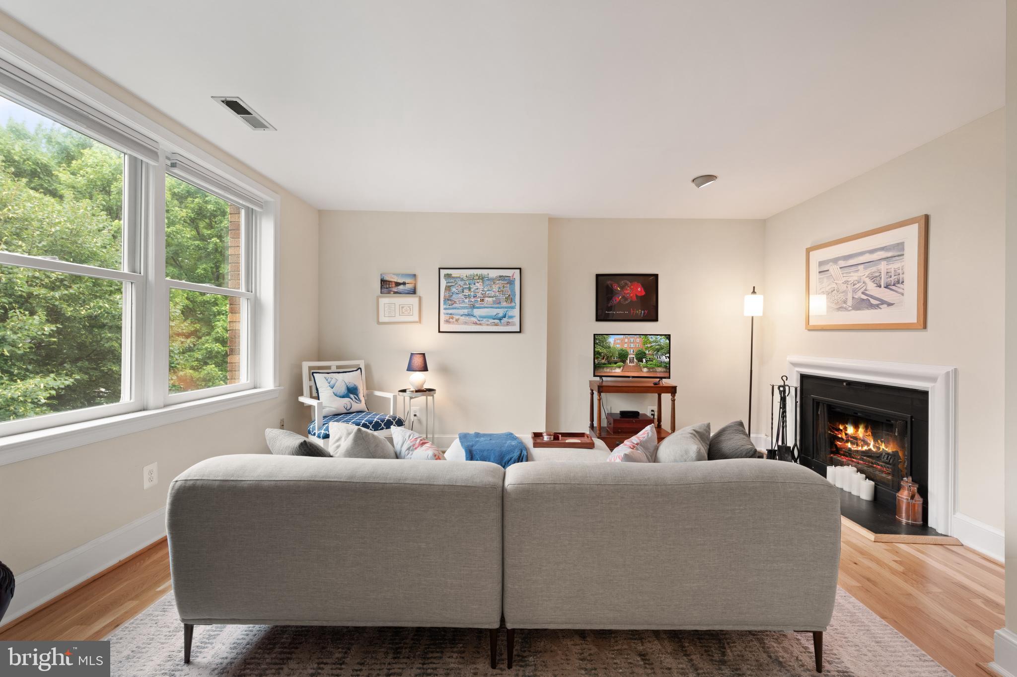 317 10th Street Northeast, Unit 13 Washington, DC 20002 - Photo 8 of 29 a living room with furniture and a fireplace