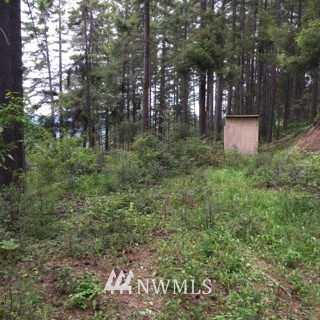 0 Rodeo Road Cle Elum, WA 98922 - Photo 2 of 7 Gallery Image 2