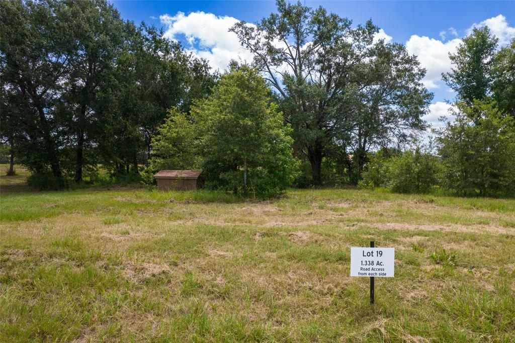 18-19 Carolina Way Mount Mount Pleasant, TX 75455 - Photo 5 of 10 a view of a yard with trees