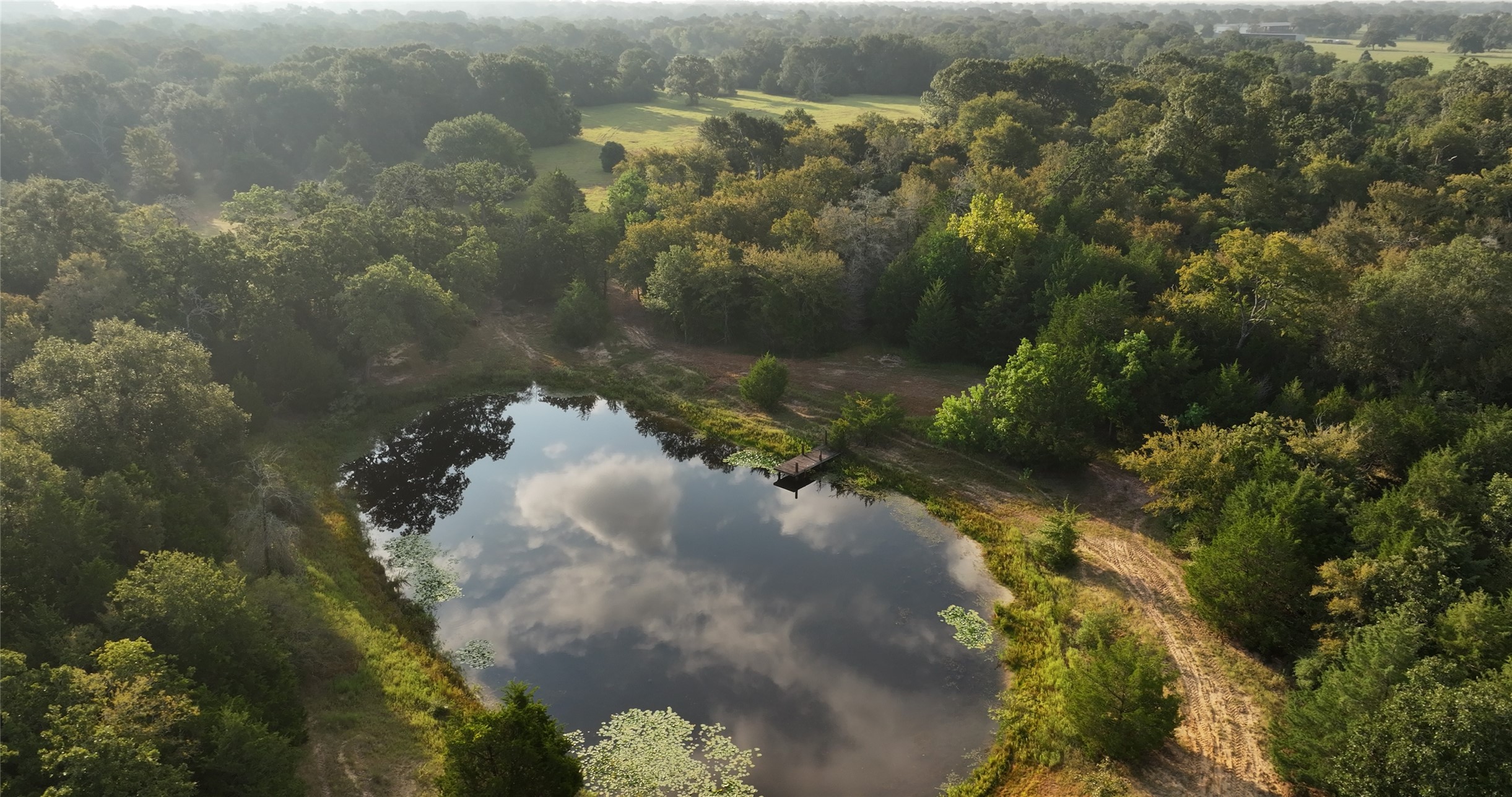 a view of a lake in a forest