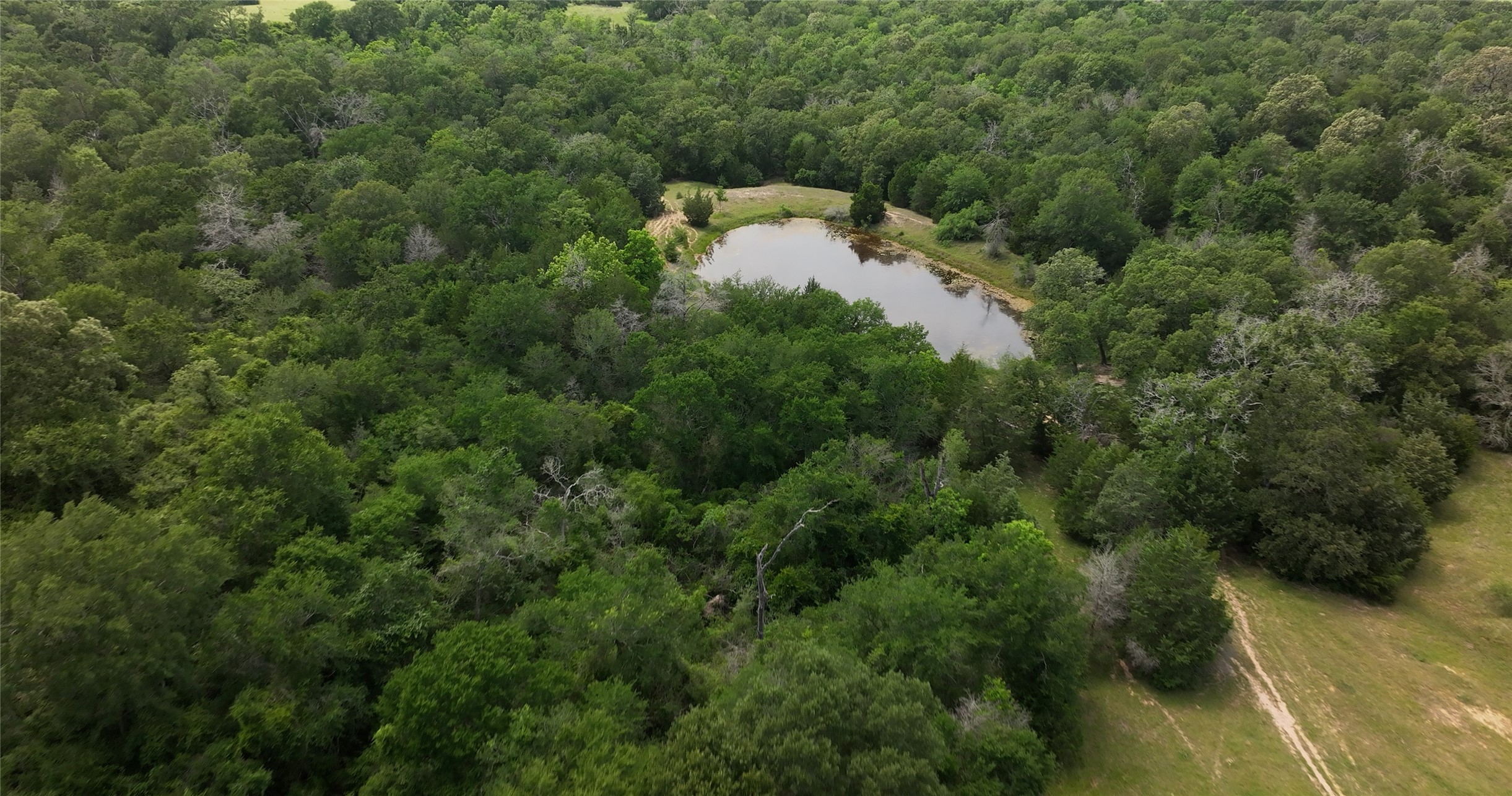 27296 Rock Island Road Hempstead, TX 77445 - Photo 12 of 30 an aerial view of a house with a yard and lake view