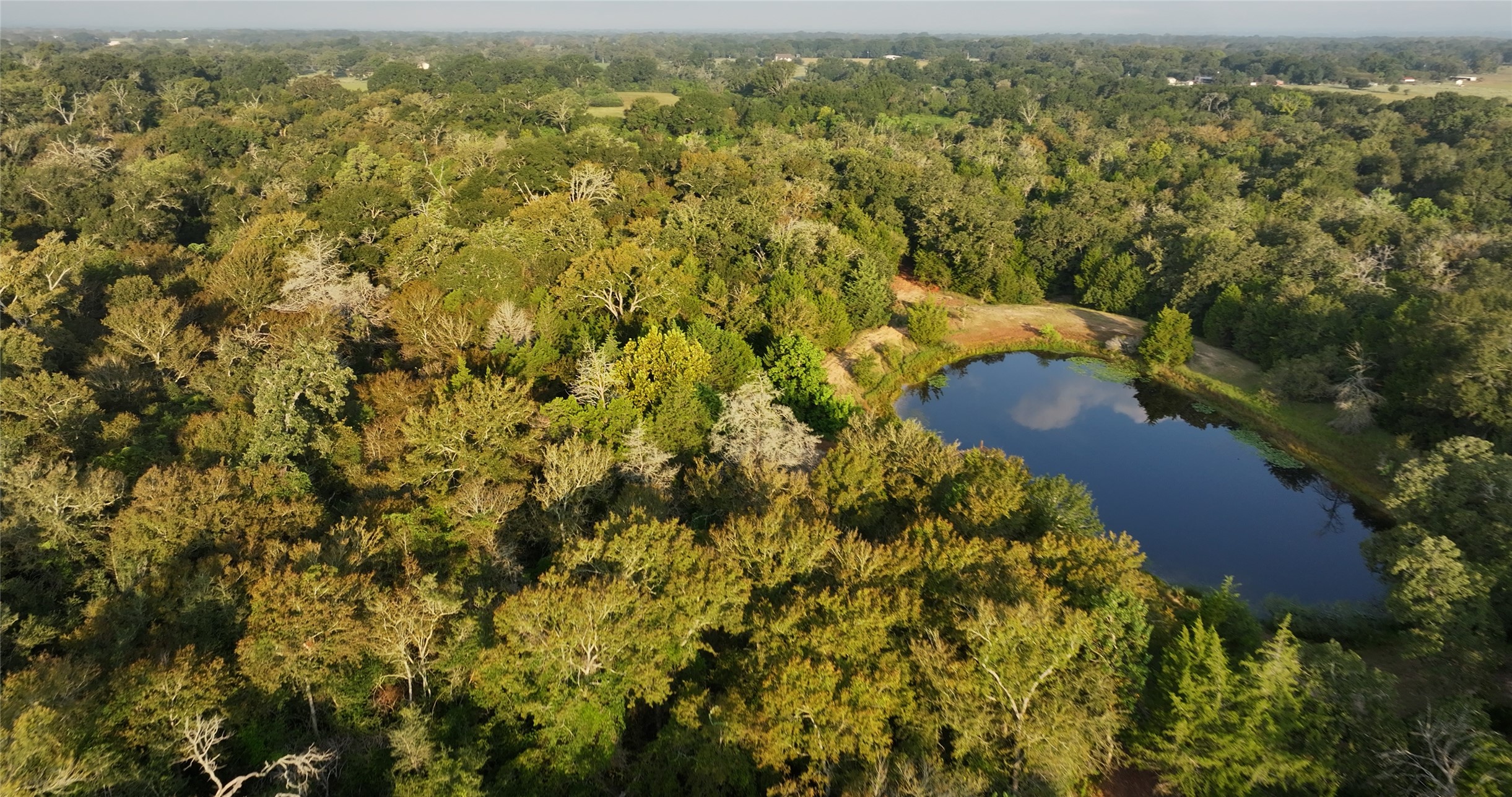 27296 Rock Island Road Hempstead, TX 77445 - Photo 13 of 30 an aerial view of residential houses with outdoor space and trees