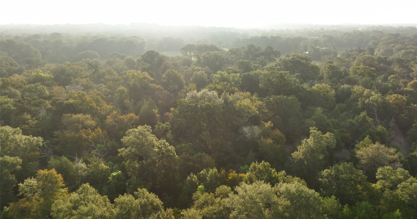 27296 Rock Island Road Hempstead, TX 77445 - Photo 15 of 30 view of city and mountain