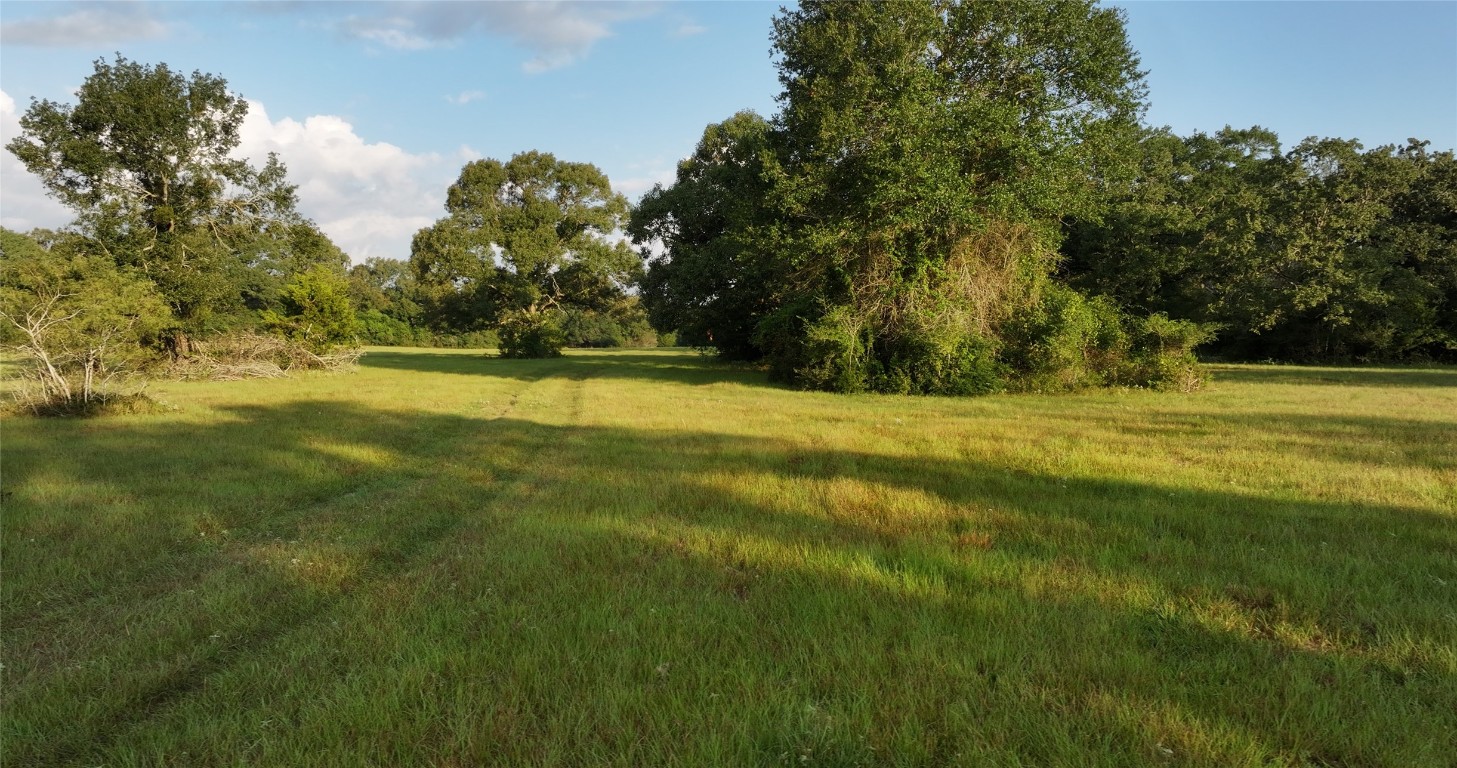 27296 Rock Island Road Hempstead, TX 77445 - Photo 17 of 30 a view of a trees with a big yard