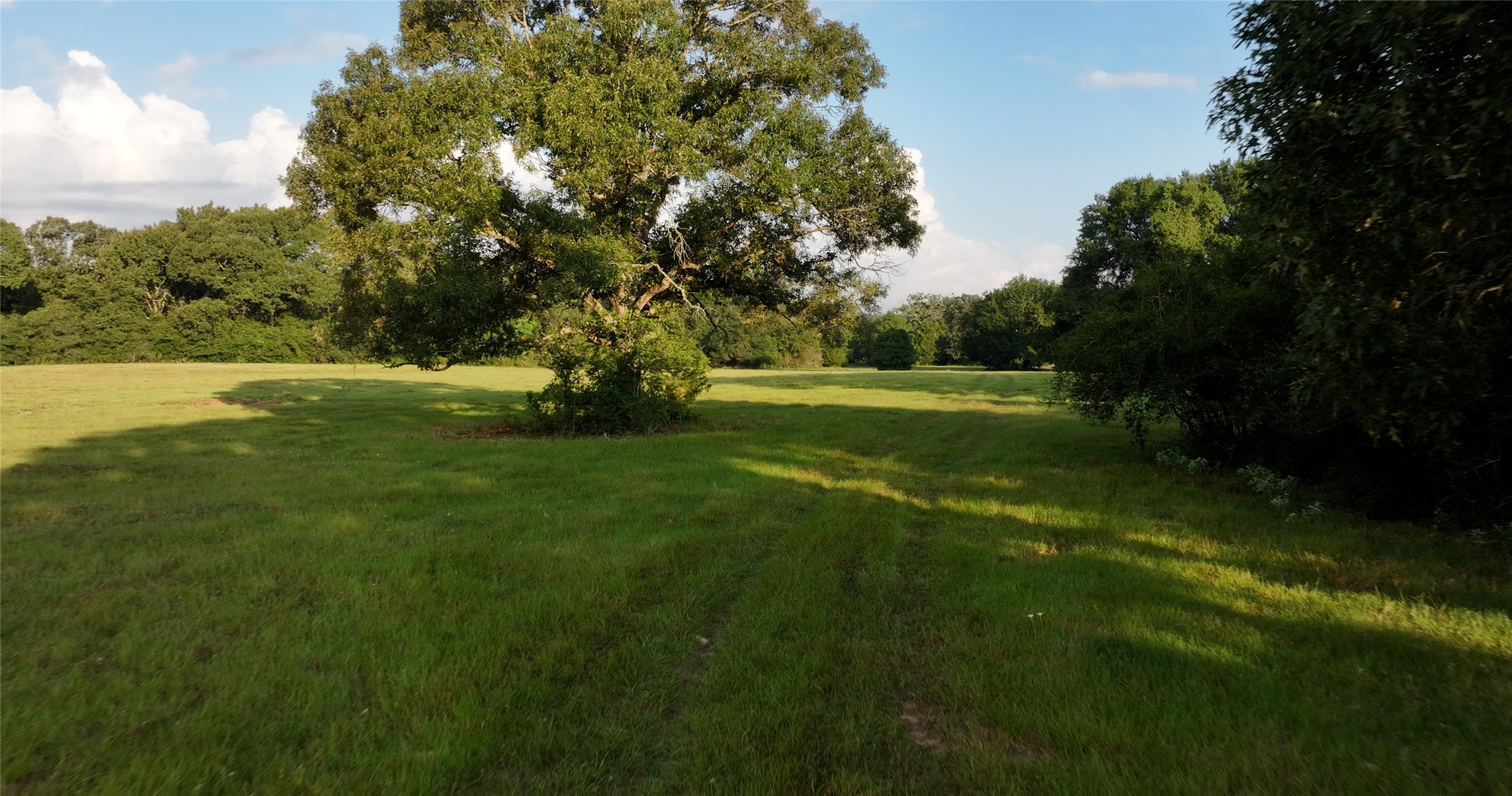 27296 Rock Island Road Hempstead, TX 77445 - Photo 2 of 30 a yard with lots of green space and trees in the background