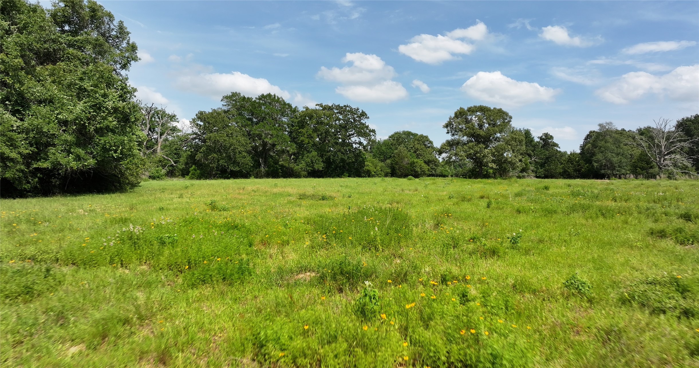 27296 Rock Island Road Hempstead, TX 77445 - Photo 25 of 30 a view of a big yard with plants and large trees
