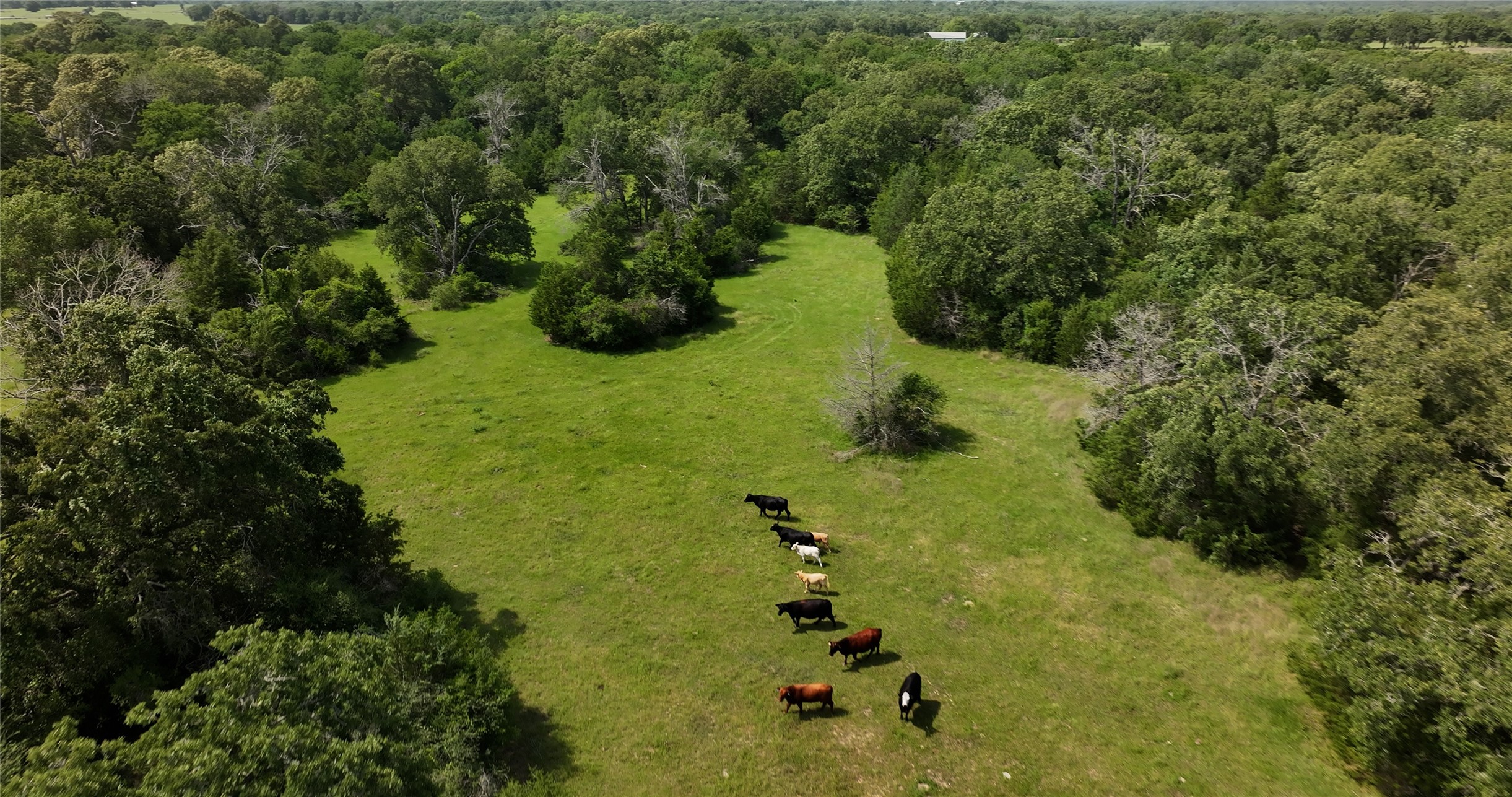 27296 Rock Island Road Hempstead, TX 77445 - Photo 6 of 30 a view of a garden with plants
