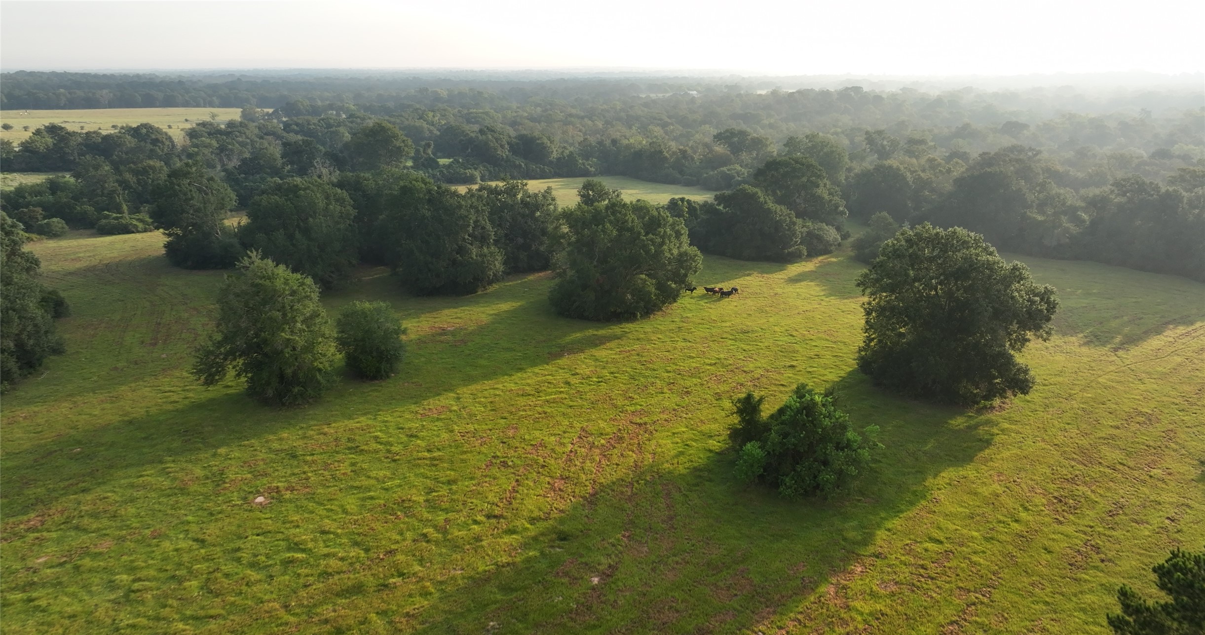 27296 Rock Island Road Hempstead, TX 77445 - Photo 7 of 30 a view of a lake from a yard