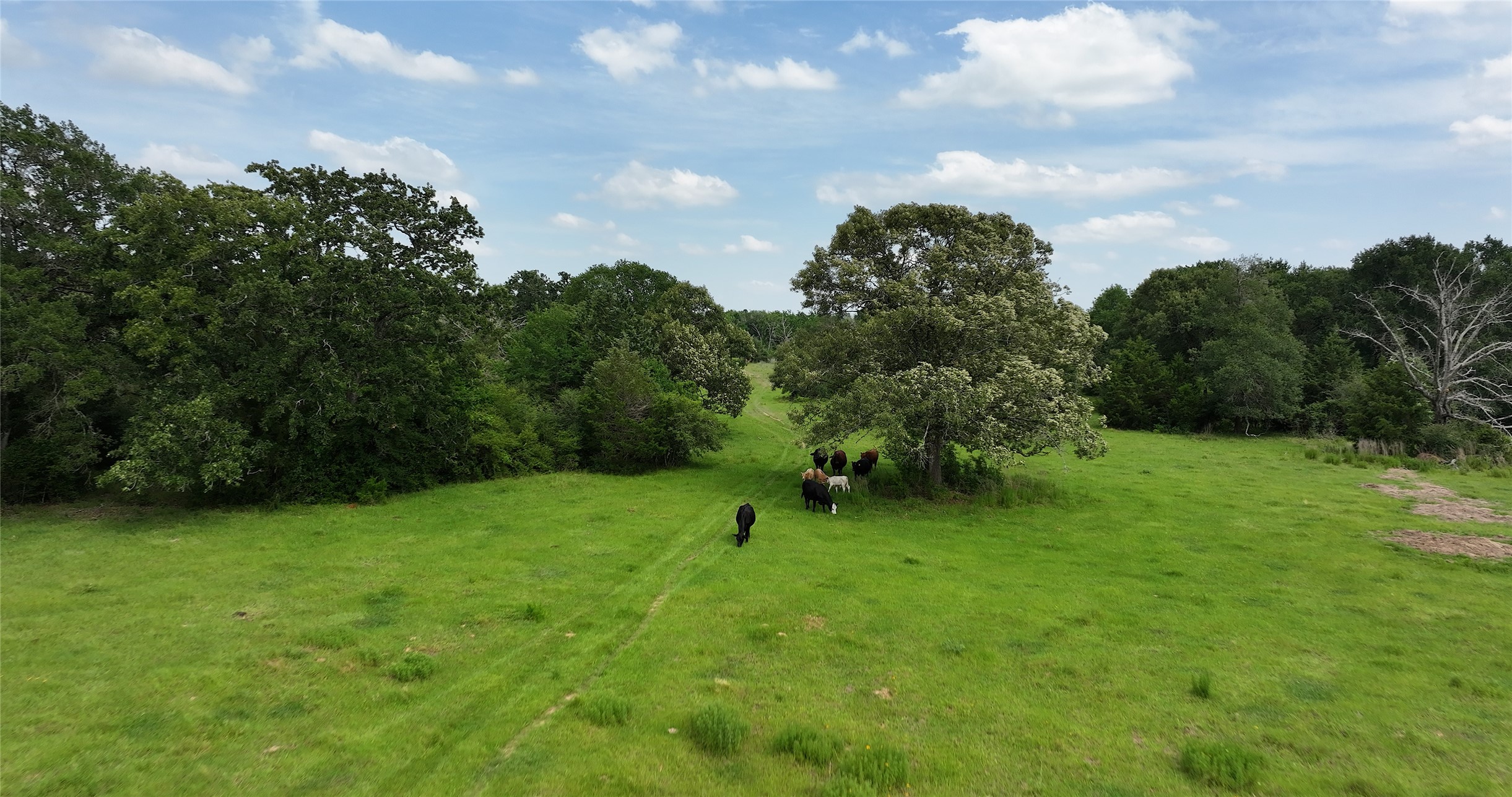 27296 Rock Island Road Hempstead, TX 77445 - Photo 8 of 30 a backyard of a house with lots of green space