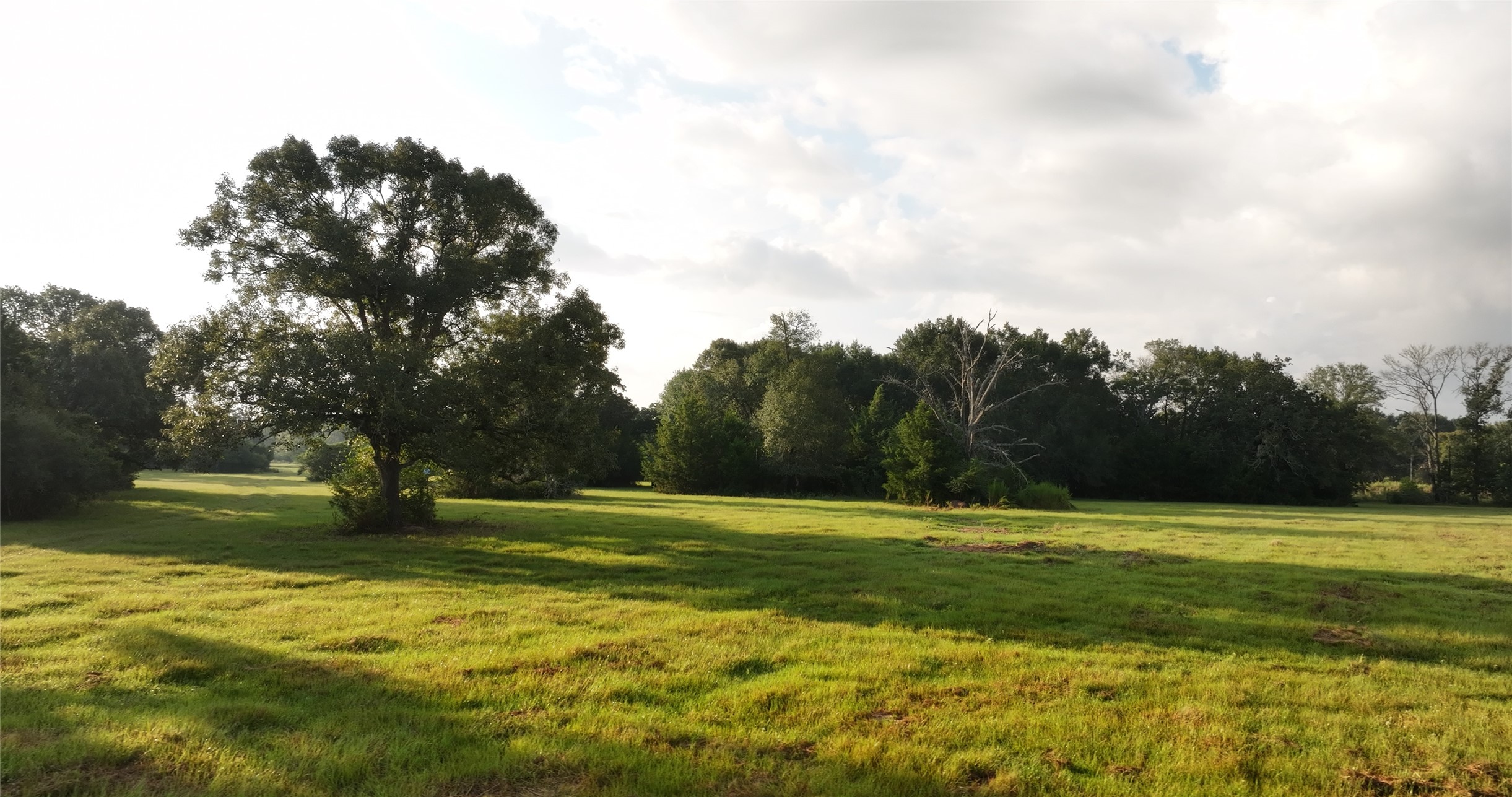 27296 Rock Island Road Hempstead, TX 77445 - Photo 9 of 30 a view of a golf course with a lake