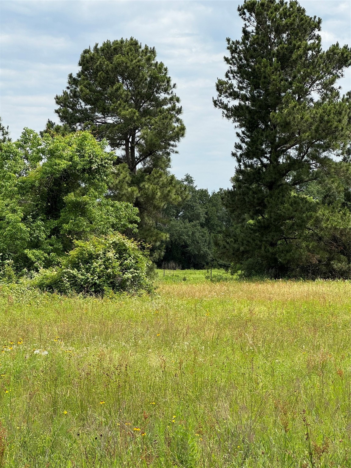 27296 Rock Island Road Hempstead, TX 77445 - Photo 10 of 30 a view of a lake view