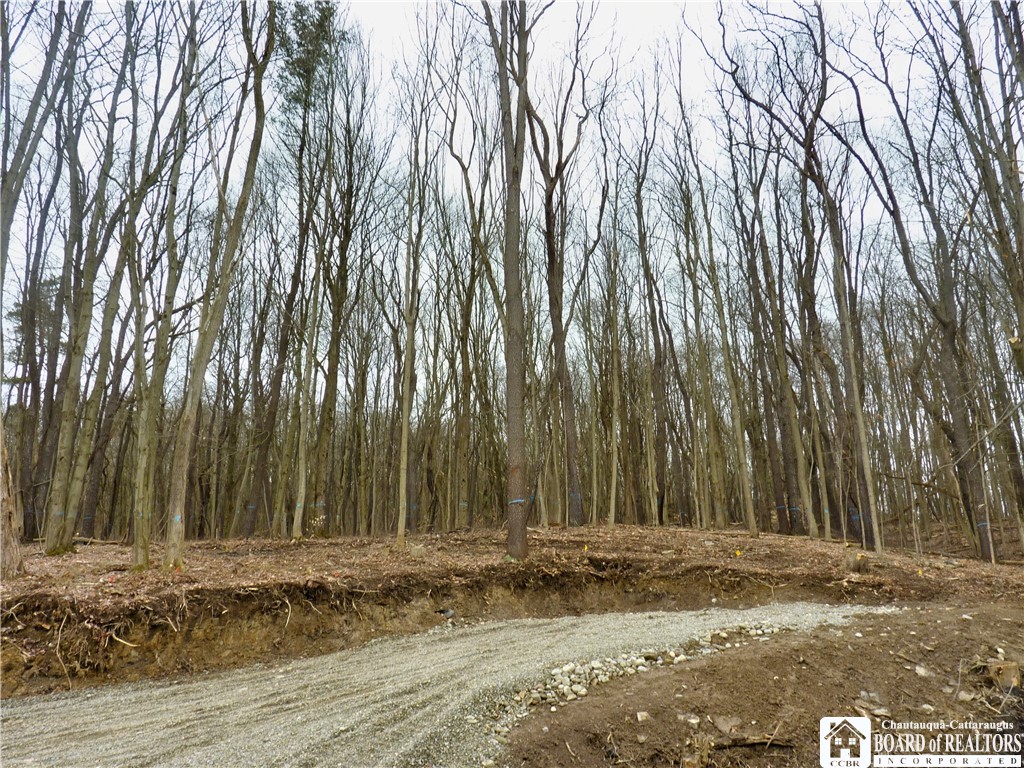 0 Kiantone Road Jamestown, NY 14701 - Photo 1 of 1