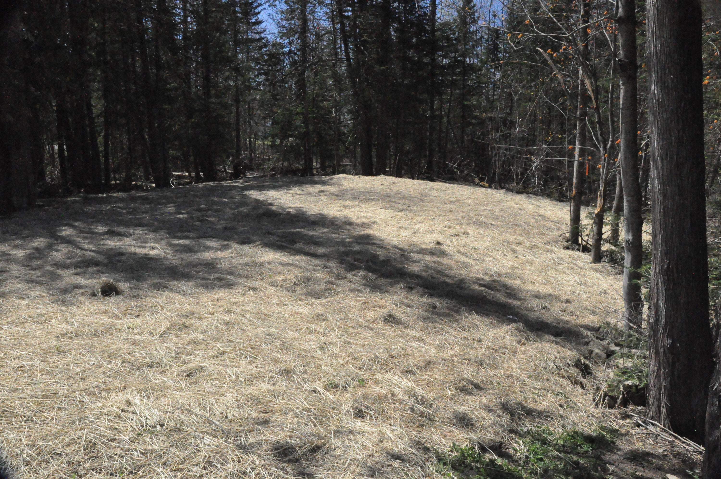 5 Hayman Road Corinth, ME 04427 - Photo 30 of 37 DSC_0033