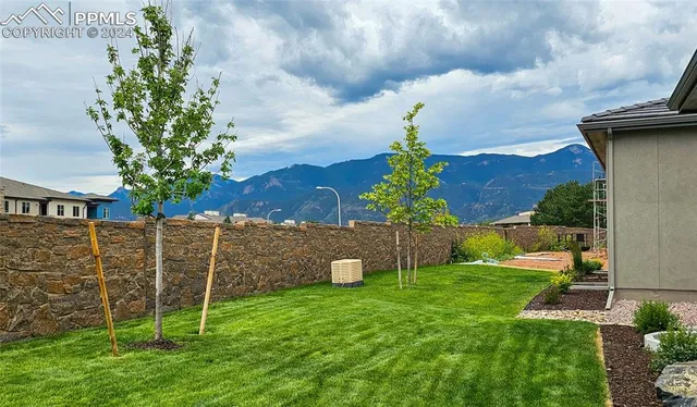 a view of a dry yard