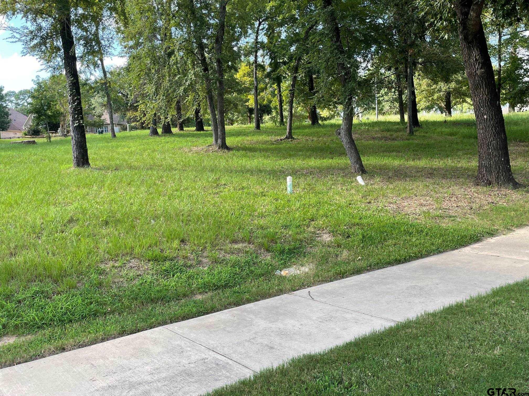 103 Azalea Trail Bullard, TX 75757 - Photo 4 of 9 a backyard of a house with lots of green space