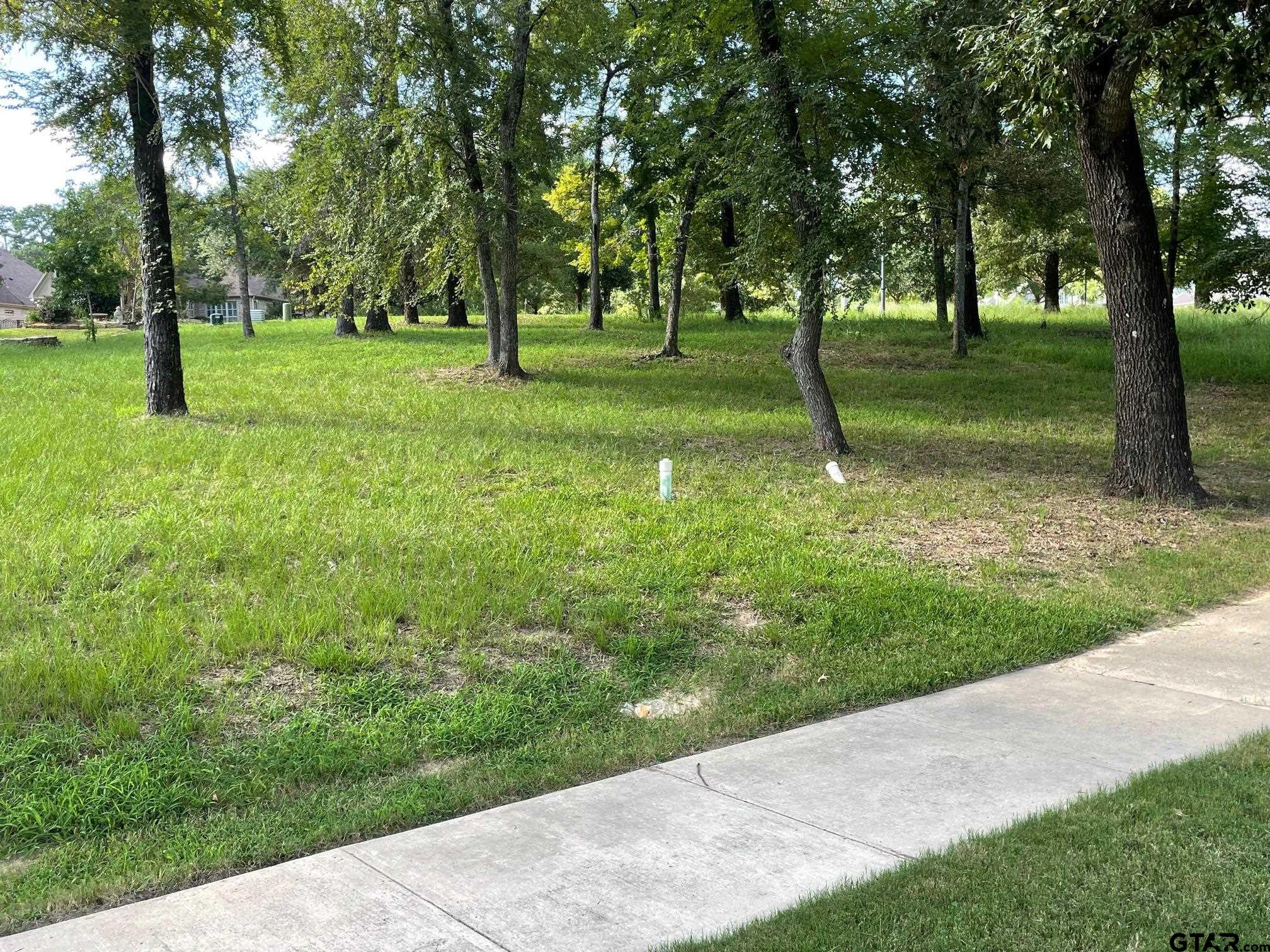 103 Azalea Trail Bullard, TX 75757 - Photo 5 of 9 a backyard of a house with lots of green space