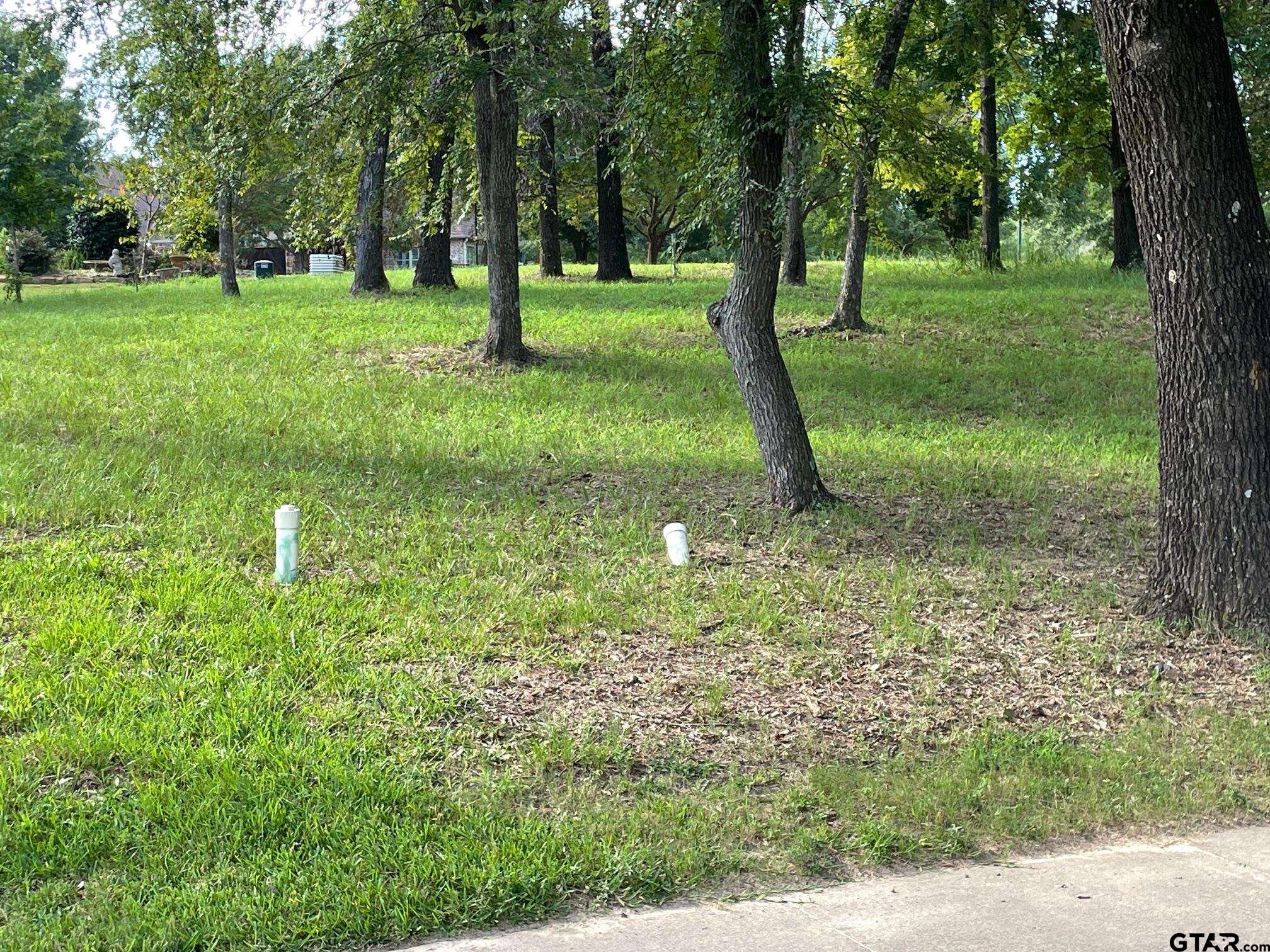 103 Azalea Trail Bullard, TX 75757 - Photo 6 of 9 a backyard of a house with lots of green space