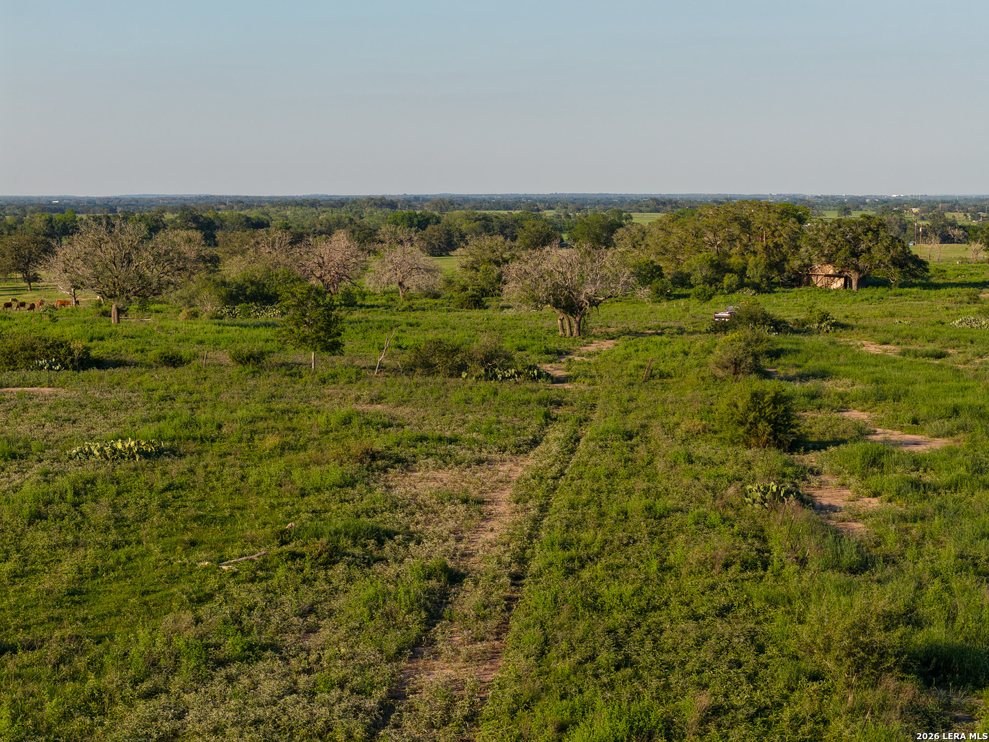 430 Watts Road Kingsbury, TX 78638 - Photo 17 of 37 a view of a field