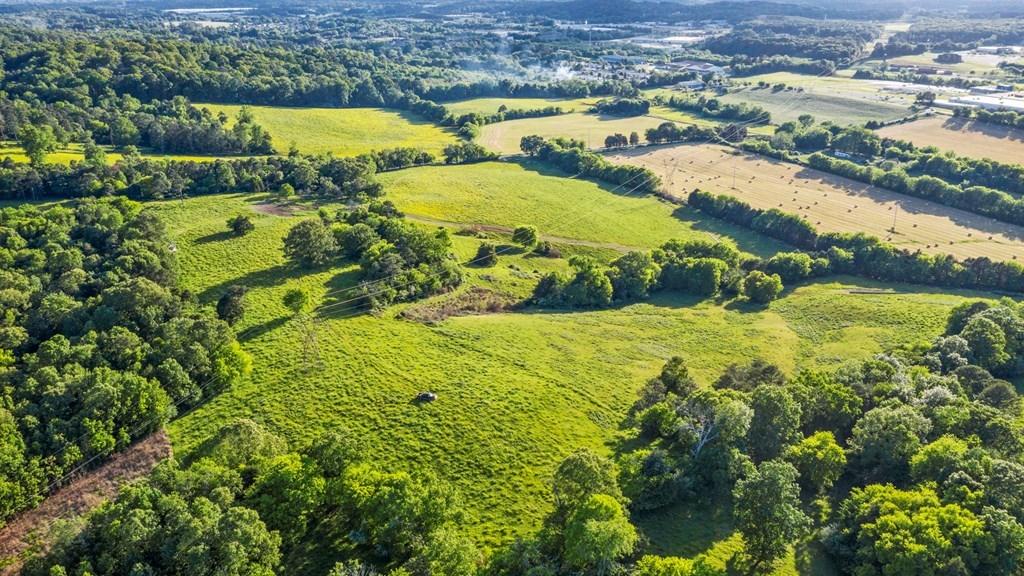 0 Northeast Wilkinson Road Cleveland, TN 37323 - Photo 3 of 9 20192131_12