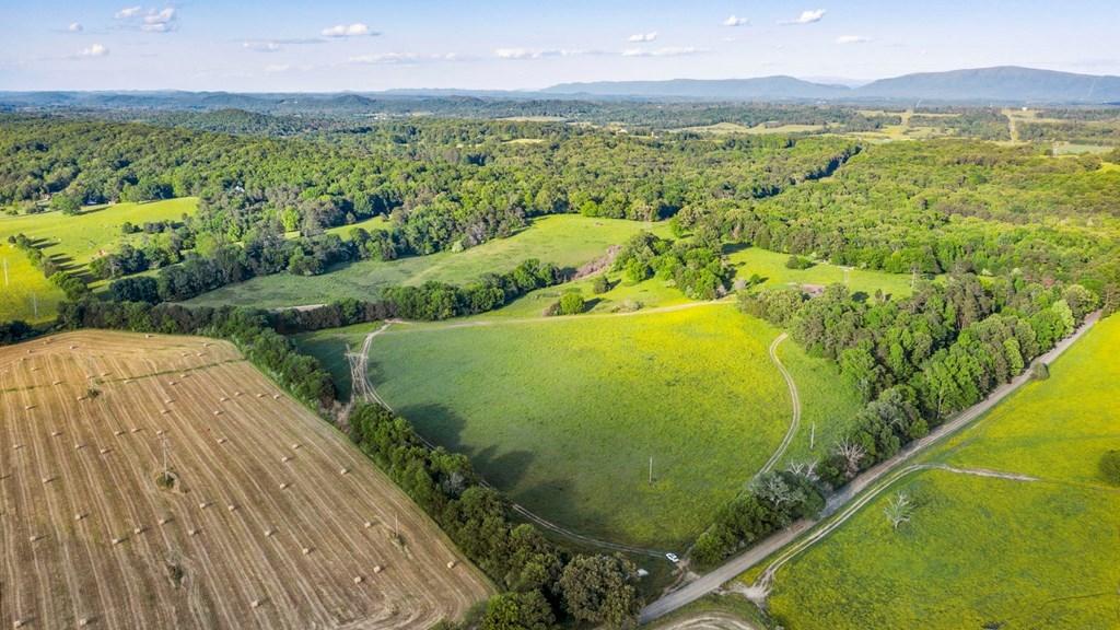 0 Northeast Wilkinson Road Cleveland, TN 37323 - Photo 7 of 9 20192131_18