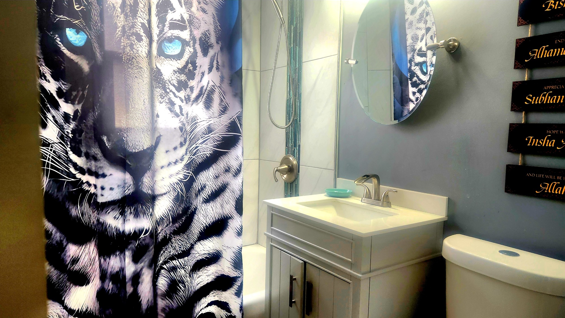 13331 South Calumet Avenue Chicago, IL 60827 - Photo 11 of 35 a bathroom with a sink and mirror with toilet