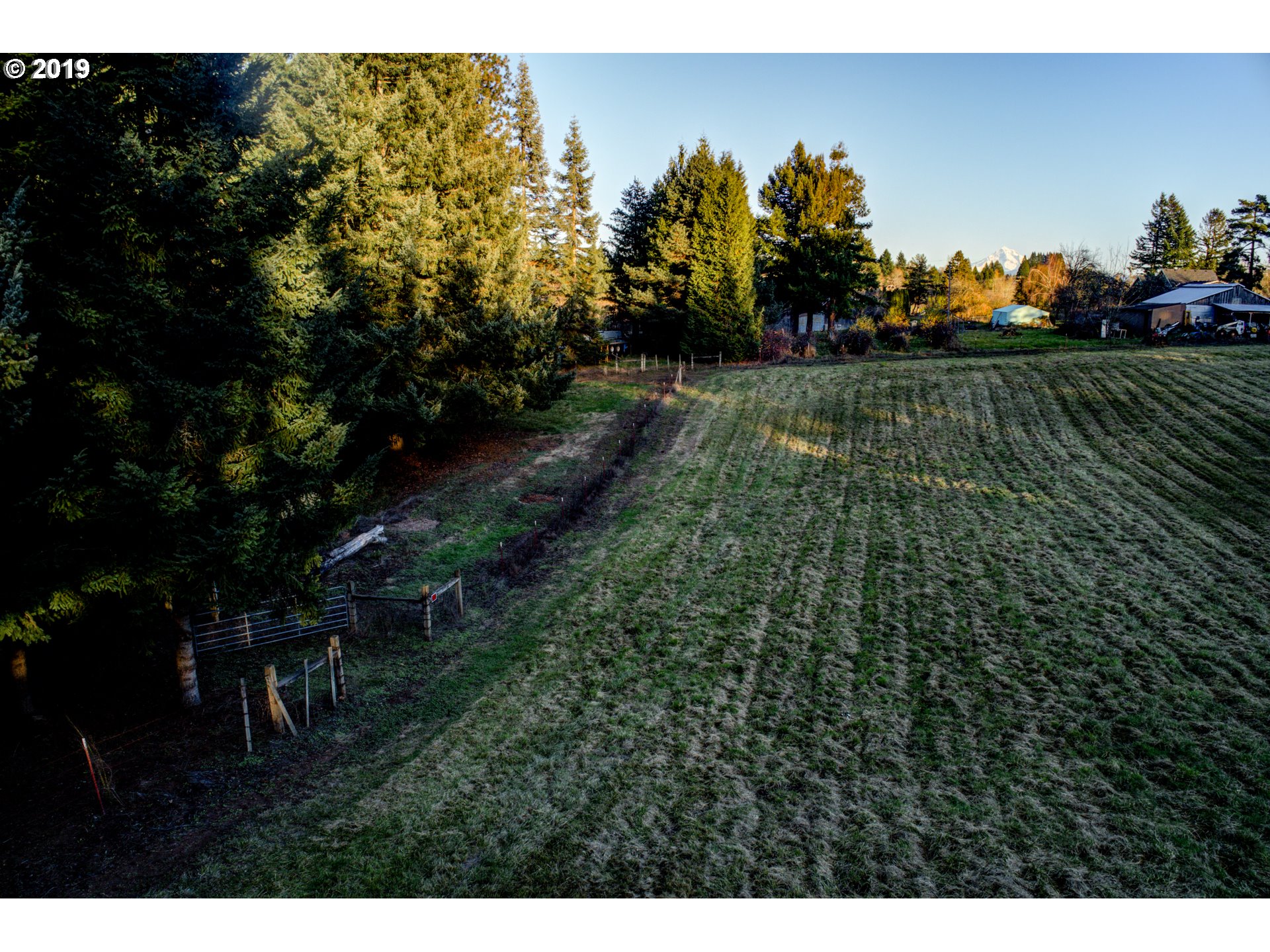 Southeast Lusted Road Gresham, OR 97080 - Photo 3 of 15 a garden view
