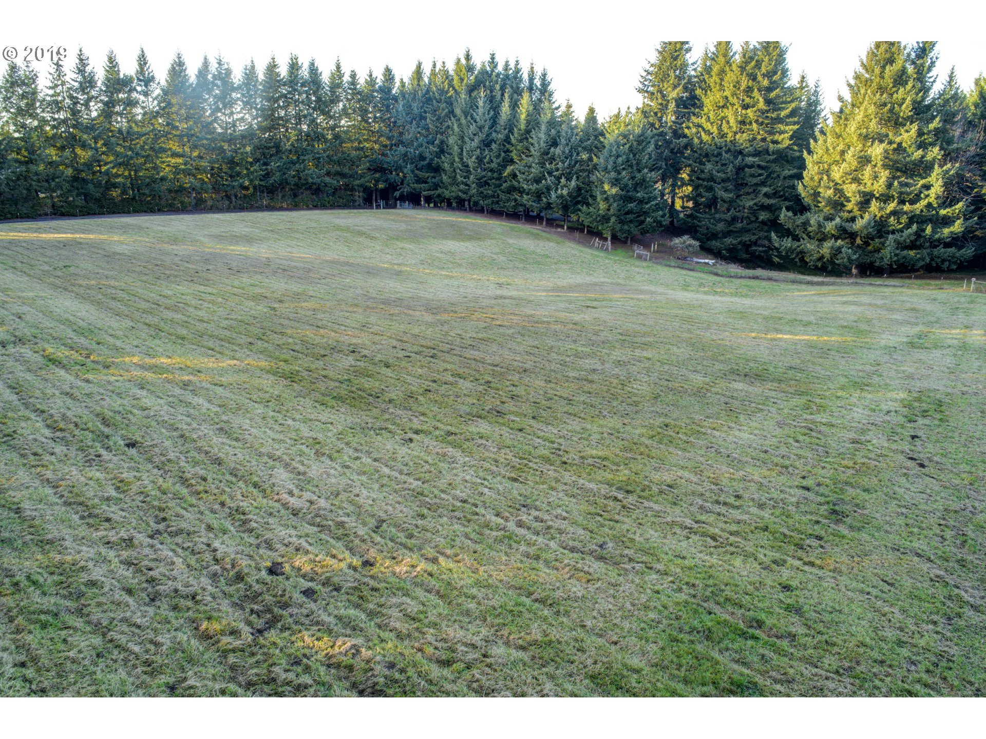Southeast Lusted Road Gresham, OR 97080 - Photo 4 of 15 a view of a field with trees in the background