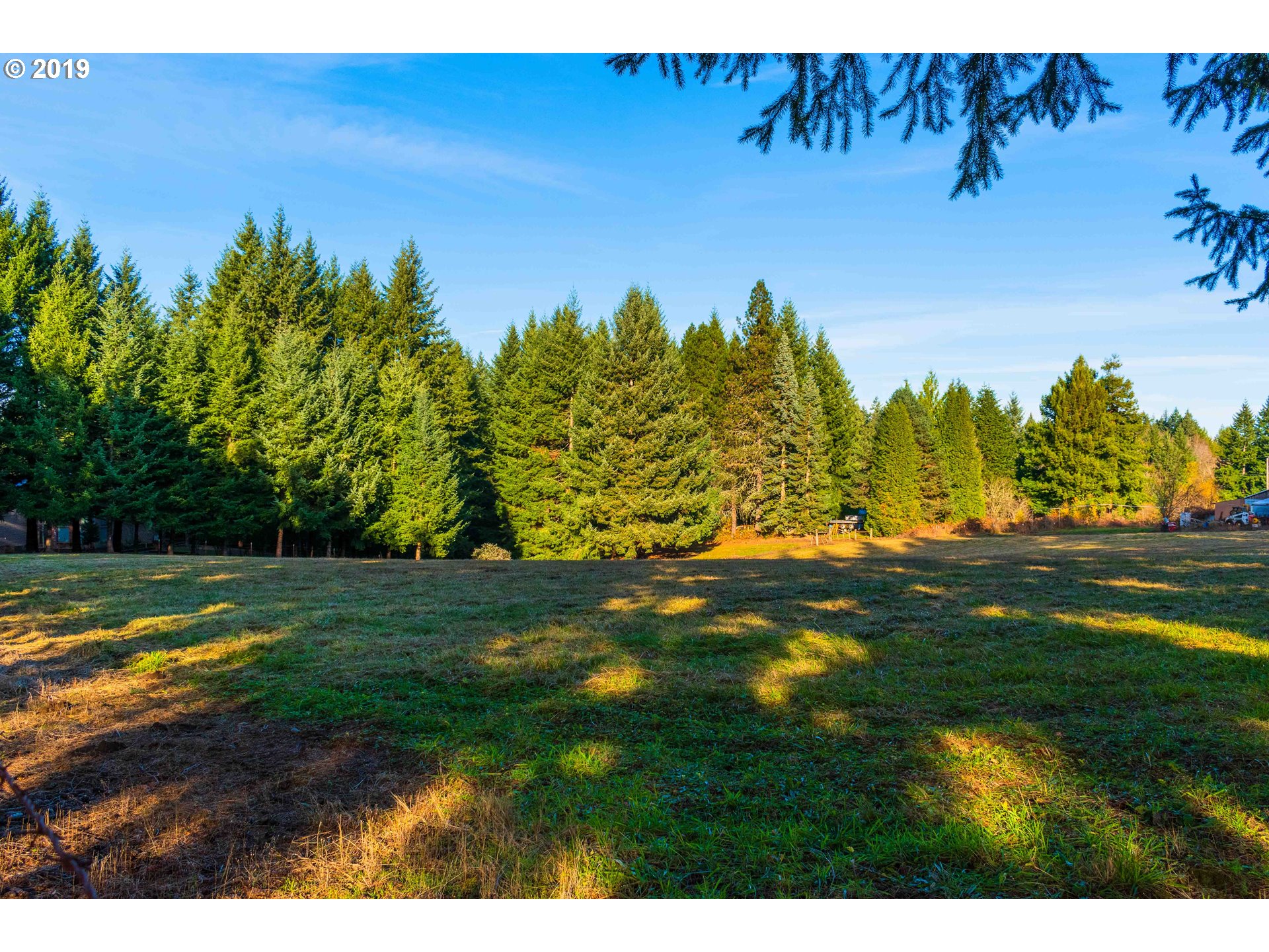 Southeast Lusted Road Gresham, OR 97080 - Photo 5 of 15 a view of a yard with an tree