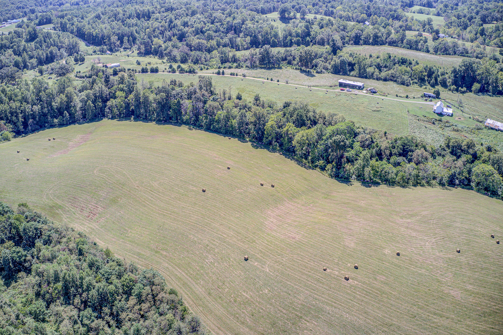1375 Simmons Mill Road Thaxton, VA 24174 - Photo 5 of 30 a view of a dry yard