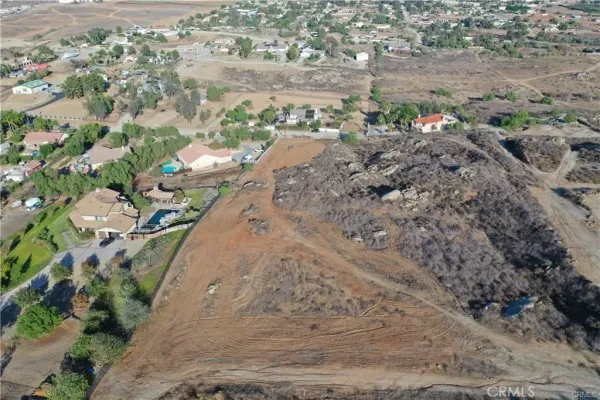a view of a dry yard with trees