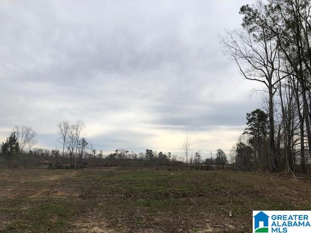 Pine Mountain Road, Unit 2 Springville, AL 35146 - Photo 12 of 16