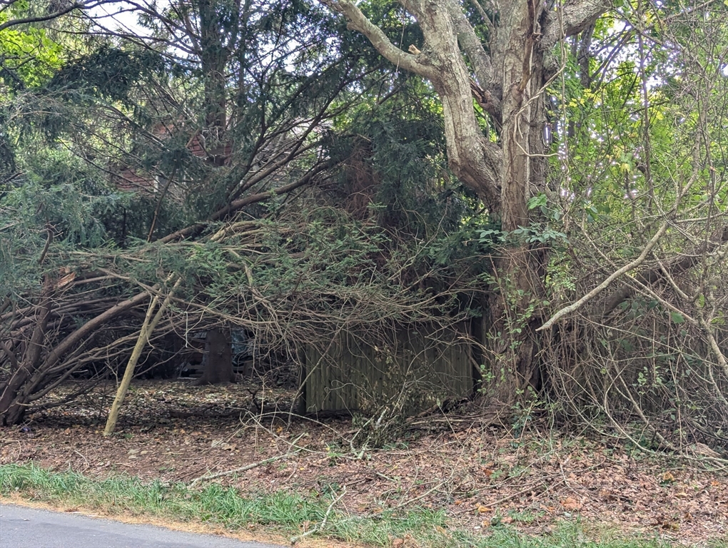 366 Point Road Marion, MA 02738 - Photo 2 of 3 a backyard of a house with lots of green space