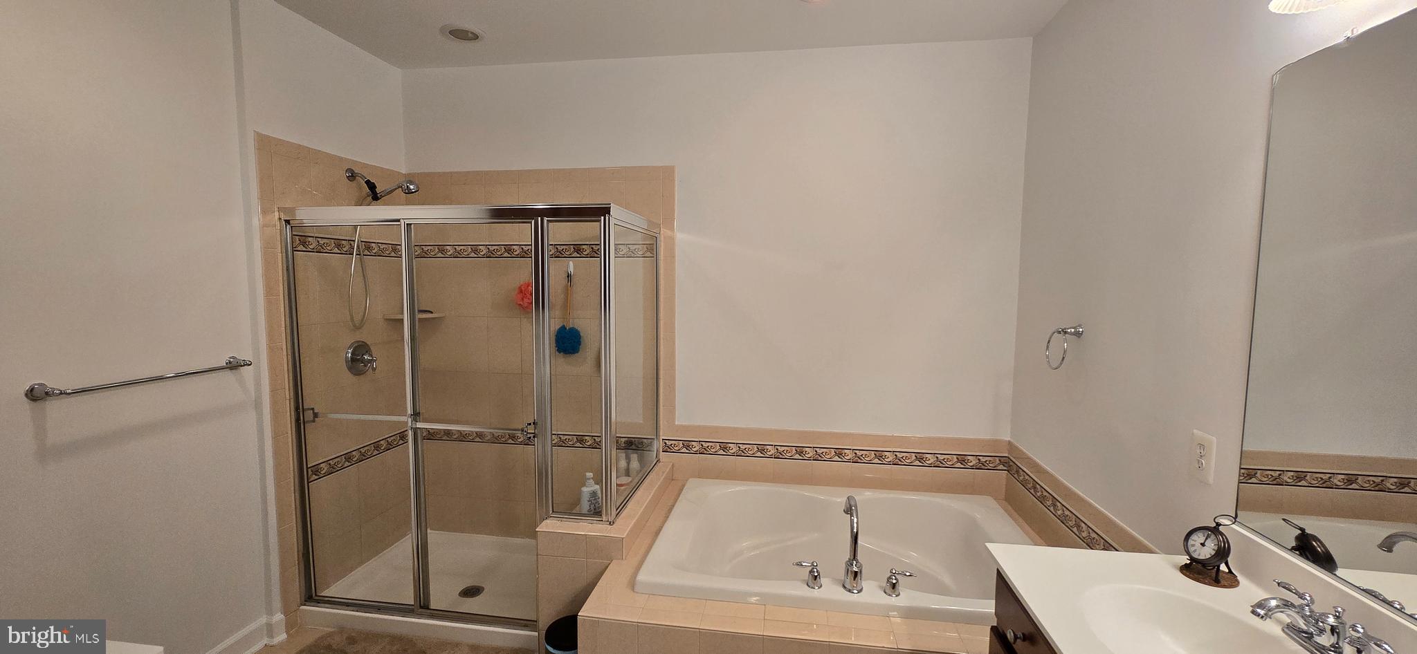 7357 Cluster House Way Gainesville, VA 20155 - Photo 17 of 28 a bathroom with a tub and a sink