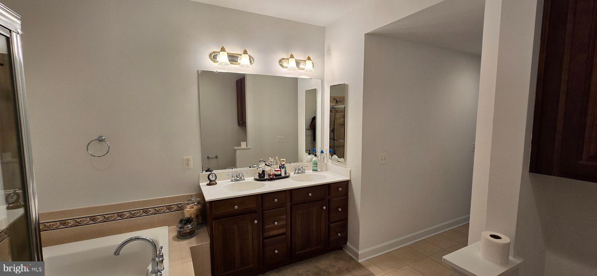 7357 Cluster House Way Gainesville, VA 20155 - Photo 18 of 28 a spacious bathroom with a double vanity sink a mirror and a shower