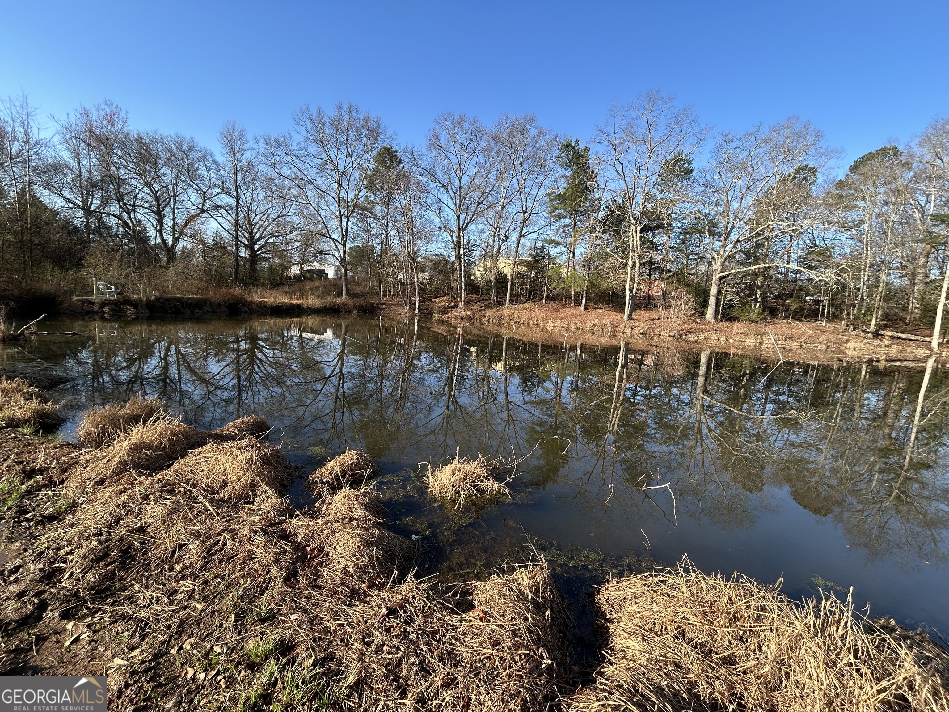 190 Cedar Pond Road Hartwell, GA 30643 - Photo 18 of 22 a view of a lake with houses