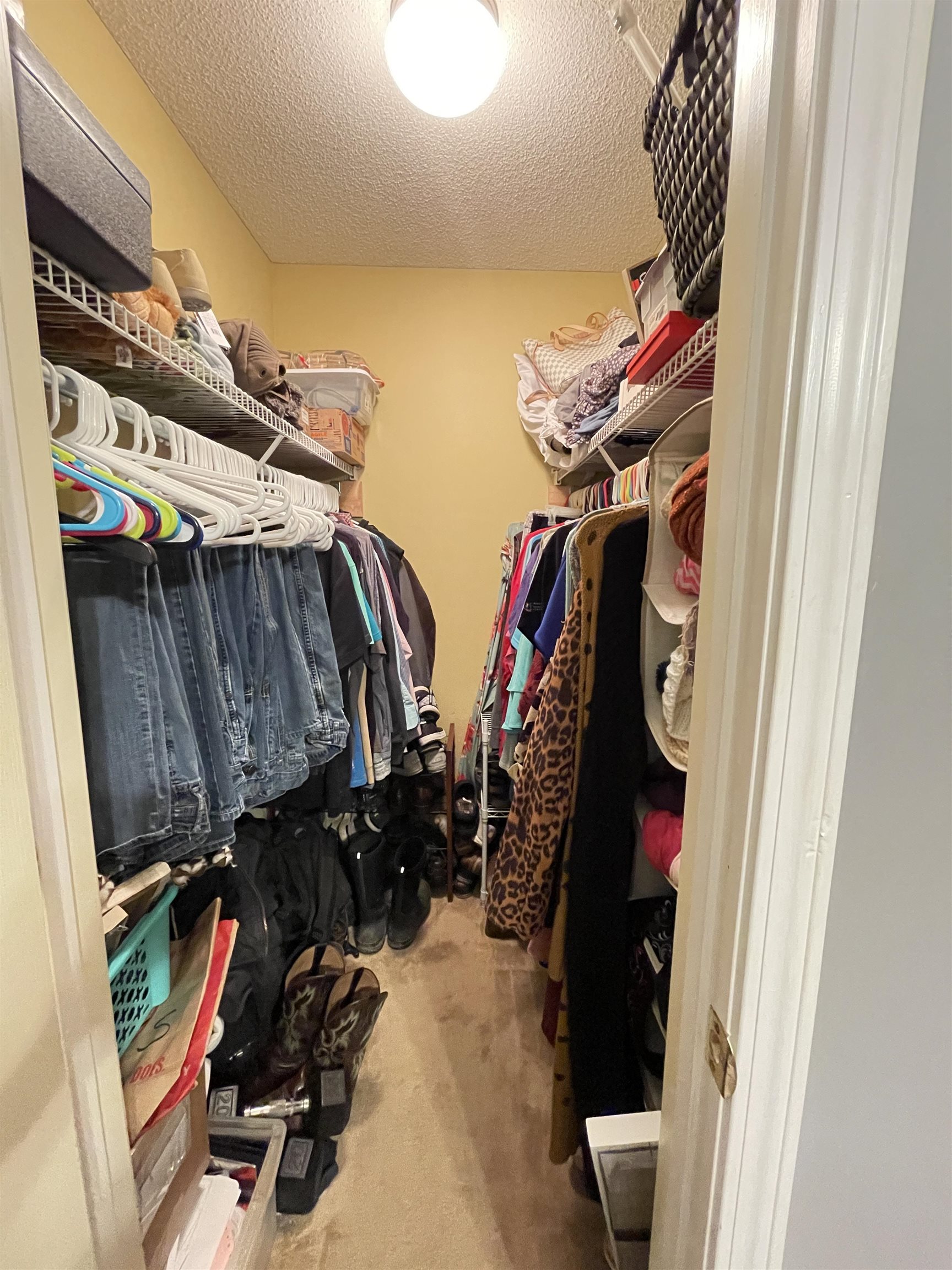 201 Holly Grove Road Covington, TN 38019 - Photo 14 of 24 Gallery Image 14