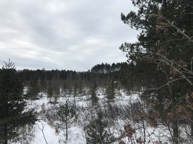 160-ac Scotchman Lake Road Minocqua, WI 54548 - Photo 13 of 30 Gallery Image 13